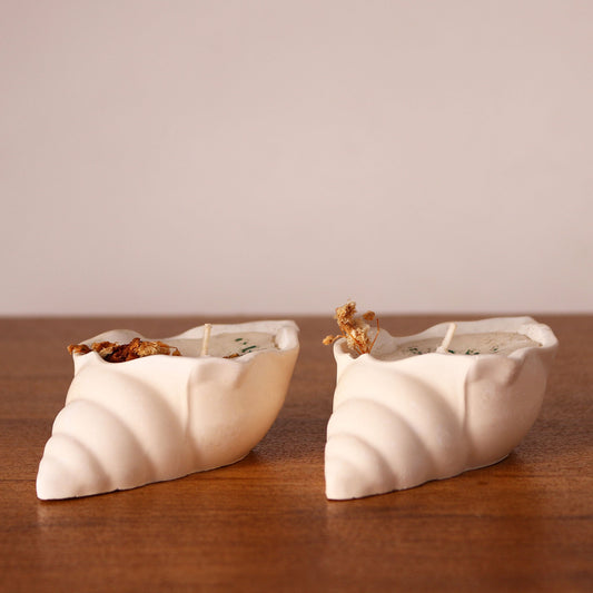 Scented Conch Shell Candle