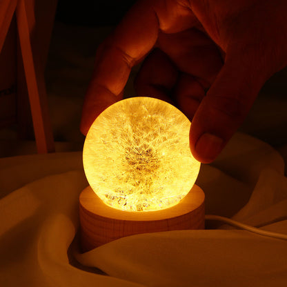 Immortal 3D Flower Crystal Lamp