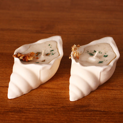 Scented Conch Shell Candle