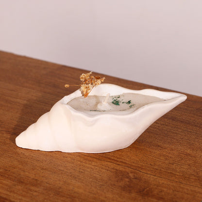 Scented Conch Shell Candle