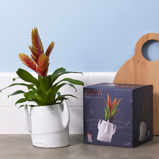 Rocket Planter